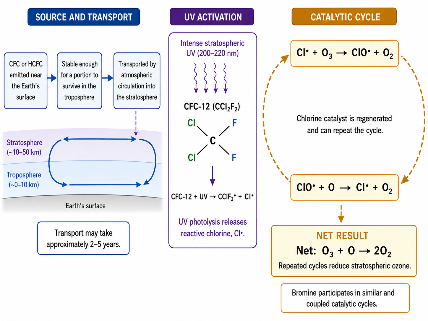 Process diagram showing a long-lived chlorine-containing ozone-depleting substance reaching the stratosphere, ultraviolet photolysis releasing a chlorine radical, and the chlorine radical being regenerated through a catalytic cycle that converts ozone and atomic oxygen into molecular oxygen